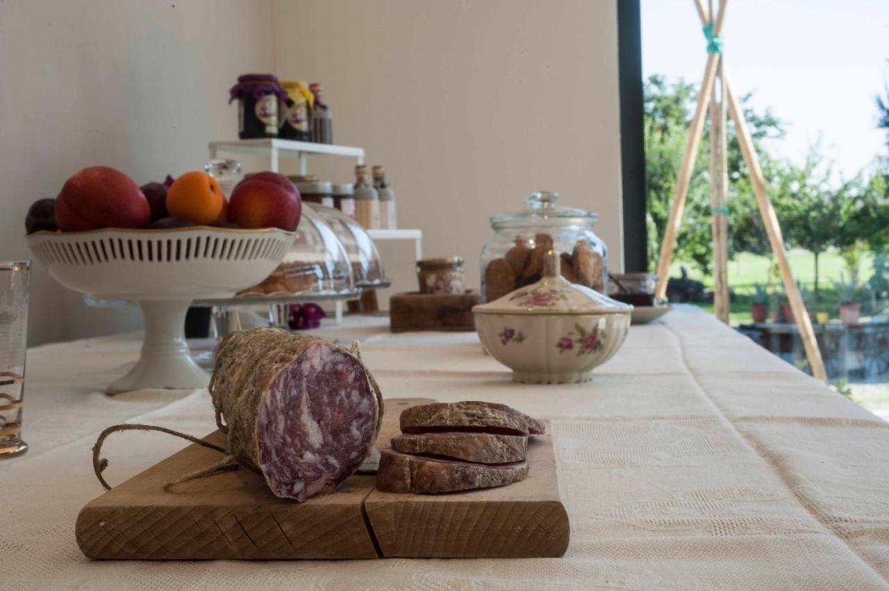 Le Ferrerie Agriturismo Fattoria Marchesini Praticello di Gattatico Eksteriør billede